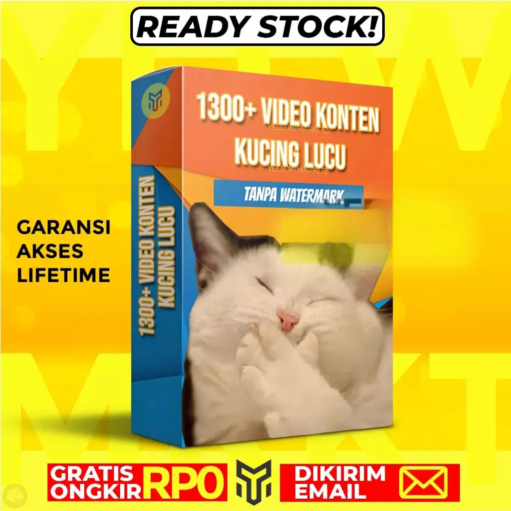1300+ VIDEO KONTEN KUCING LUCU - Konten Video Tingkah Unik Kucing Viral